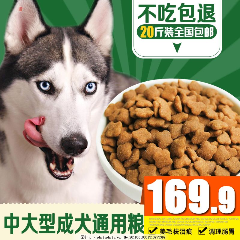 寵物食品主圖設(shè)計要點(diǎn)與市場趨勢分析
